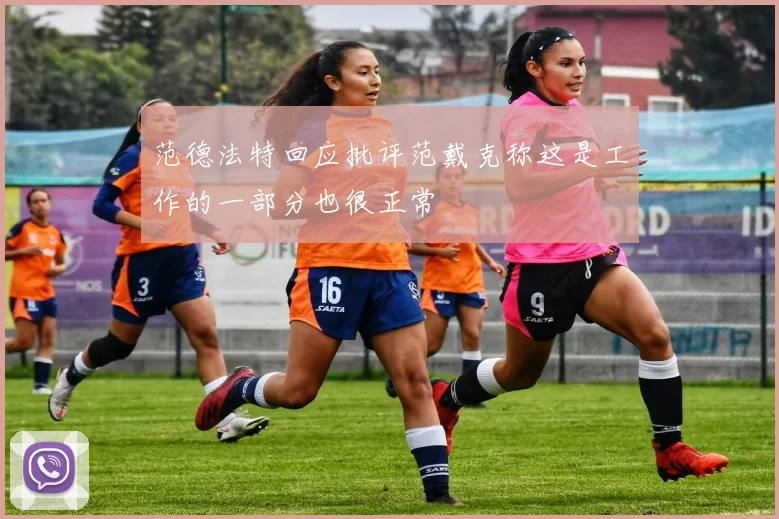 范德法特回应批评范戴克称这是工作的一部分也很正常