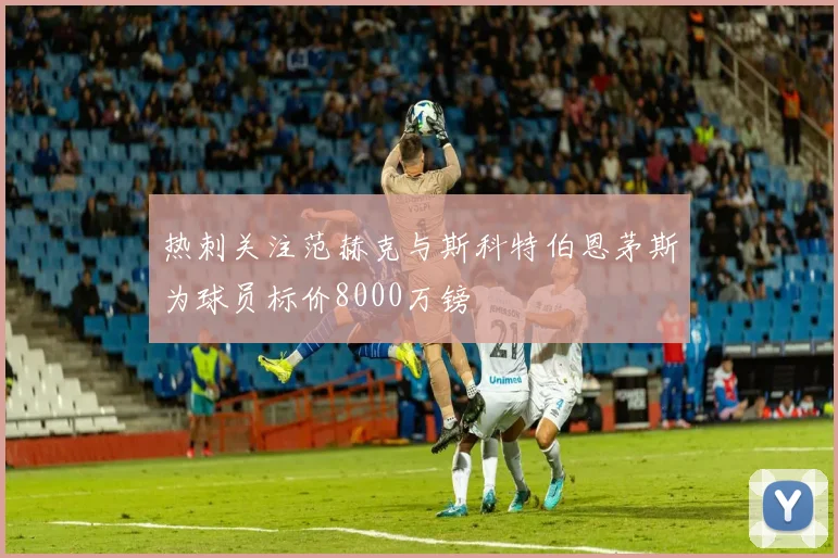 热刺关注范赫克与斯科特伯恩茅斯为球员标价8000万镑